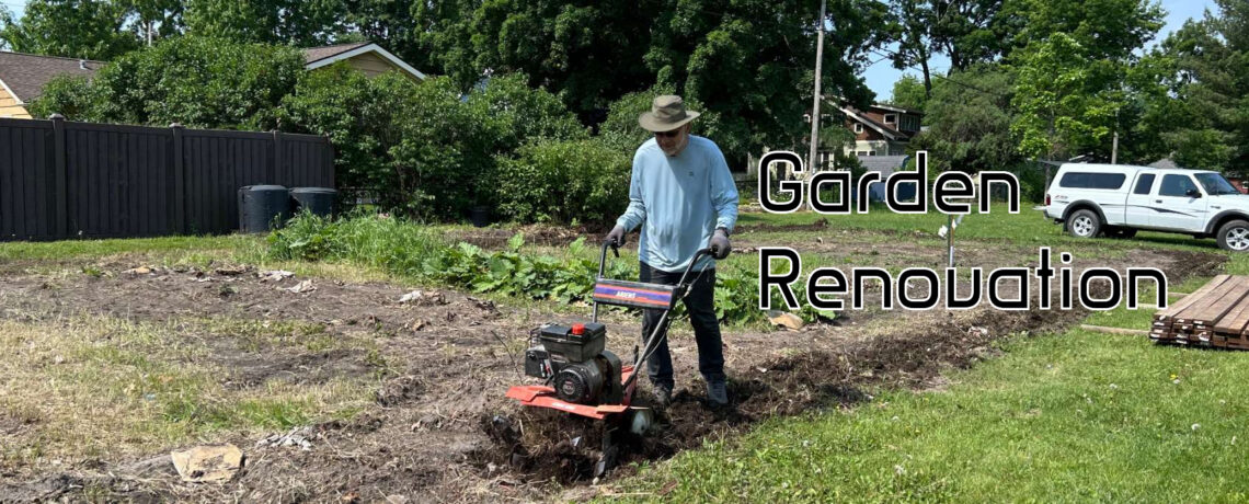 Garden Renovation